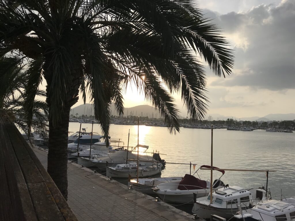 Bodega des Port: Una Joya Culinaria en Platja D’Alcudia, imagen 9