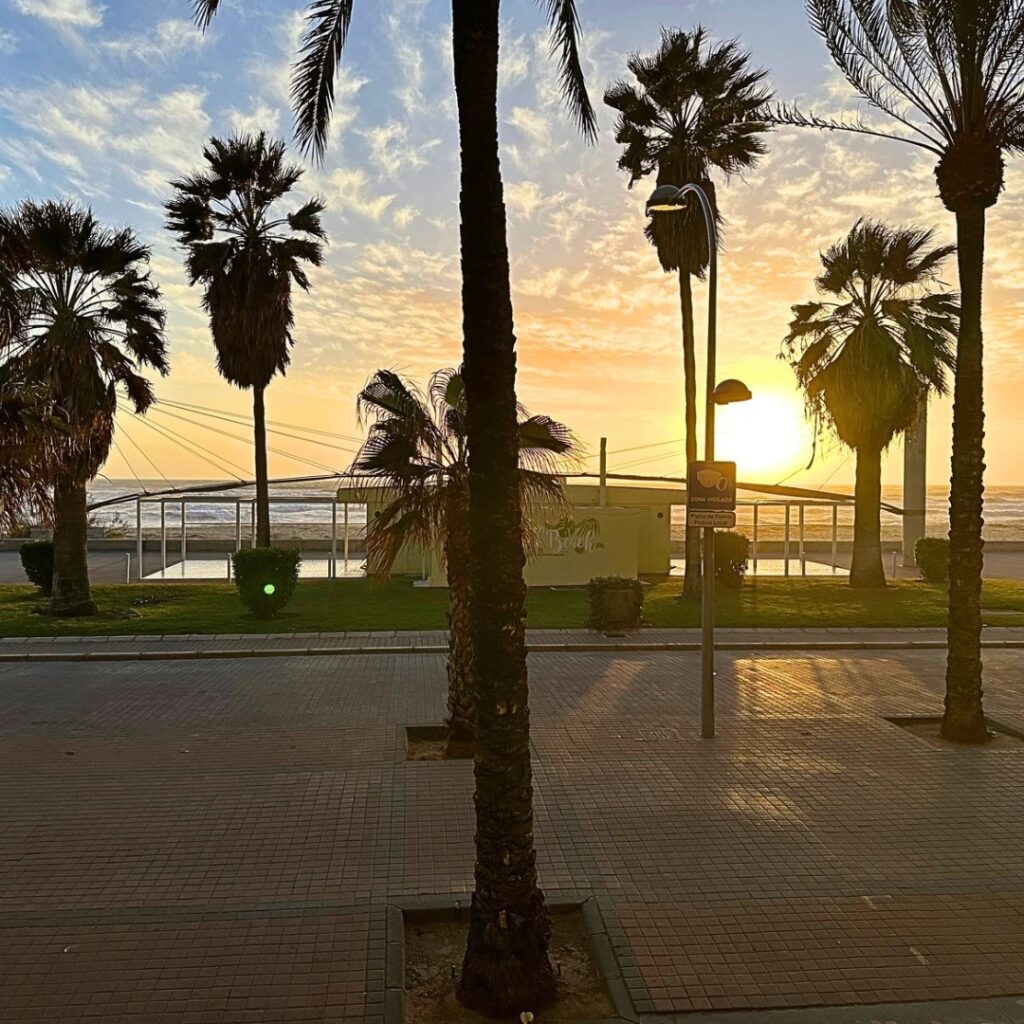 Little Brunch Mallorca – Playa de Palma: guía honesta para comer bien en Mallorca, imagen 3