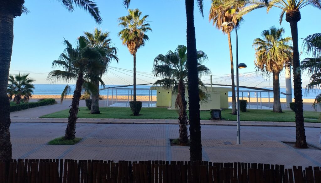 Little Brunch Mallorca – Playa de Palma: guía honesta para comer bien en Mallorca, imagen 7