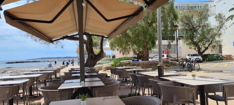 MEDITERRÁNEA bajo la lupa: carta, servicio y ambiente