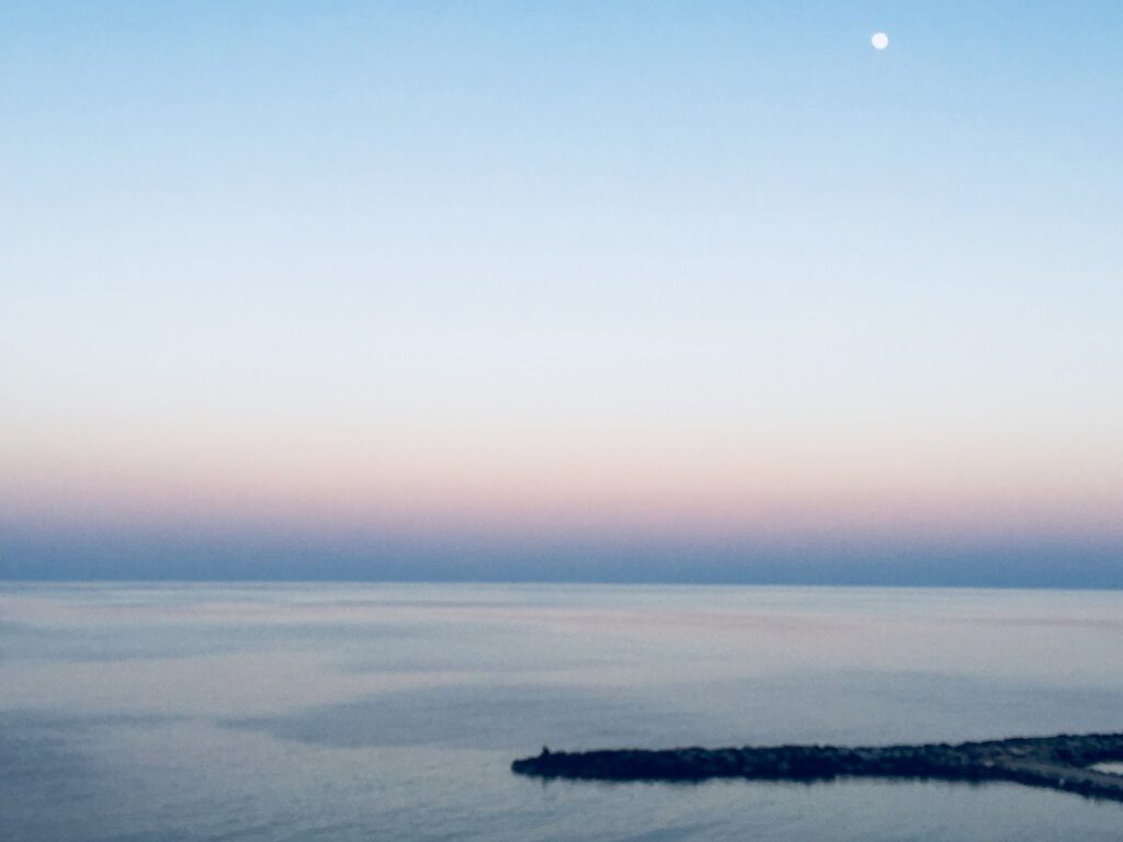 MEDITERRÁNEA bajo la lupa: carta, servicio y ambiente, imagen 3
