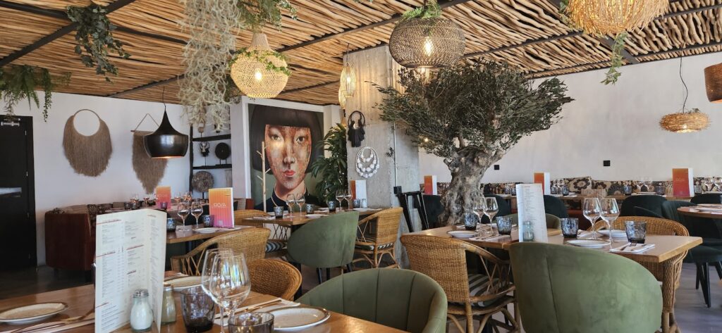 Rosa Restaurante: cocina, ambiente y opiniones sin rodeos, imagen 3