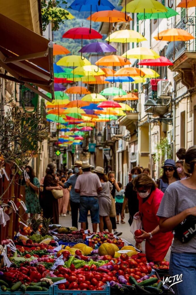 RESTAURANT CAN TAMANY, más allá de la carta: qué puedes esperar, imagen 4