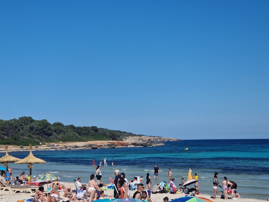 Cafeteria PICNIC: Un Lugar para Saborear la Costa de Sa Coma, imagen 6