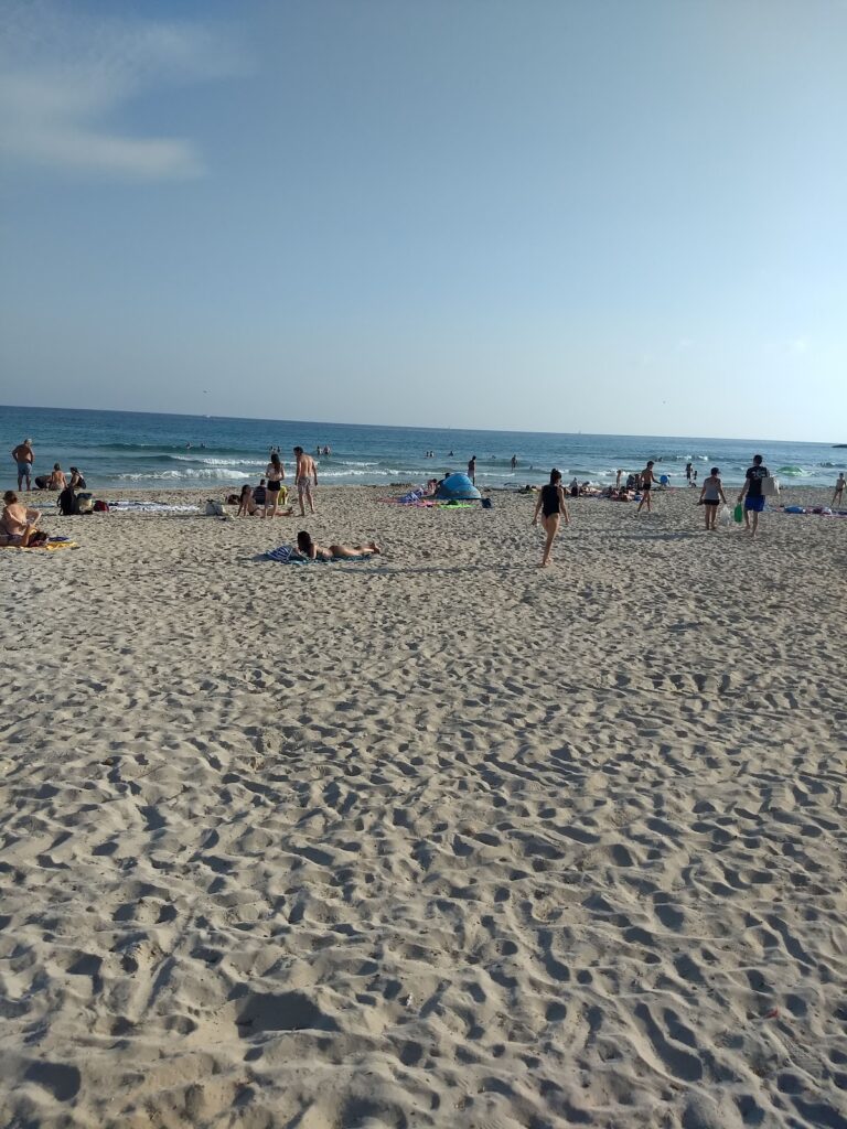 Cafeteria PICNIC: Un Lugar para Saborear la Costa de Sa Coma, imagen 8