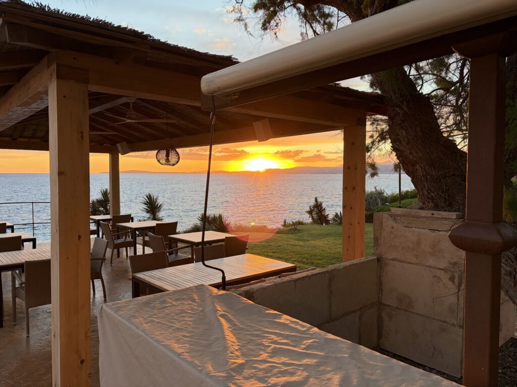 Mhares Sea Club: el sitio del que hablan en Mallorca, imagen 2