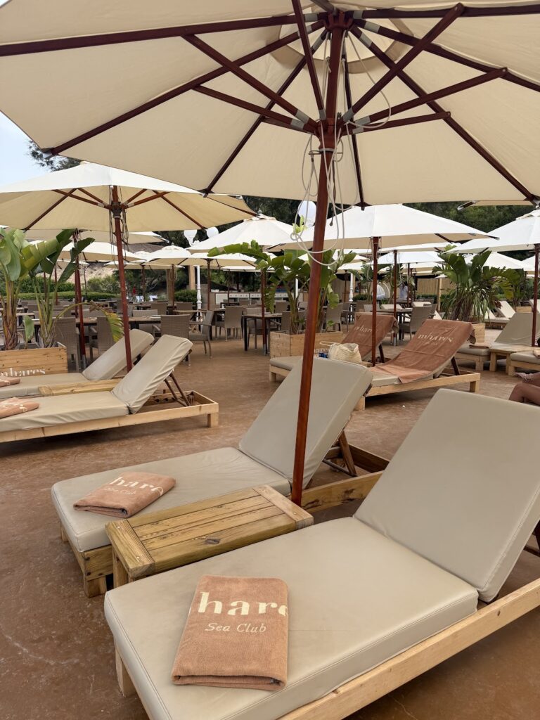 Mhares Sea Club: el sitio del que hablan en Mallorca, imagen 9