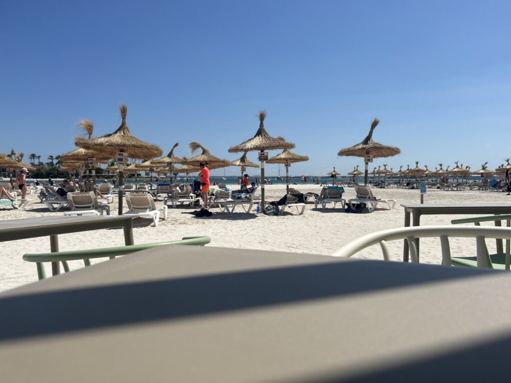 Sabores de Alcúdia: la experiencia en Balneari 6 | Alcúdia Beach Bar, imagen 7