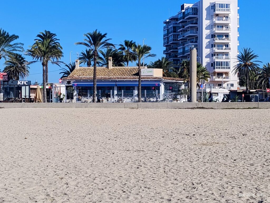 Palms restaurant by the beach: cocina, ambiente y opiniones sin rodeos, imagen 9