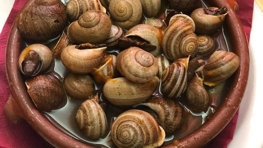 ES CÓS: Un Viaje Culinario a Través de la Auténtica Mallorca, imagen 1